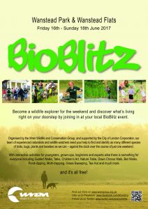 BioBlitz 2017