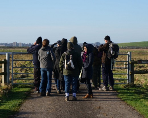 Rainham Marshes visit 11 January 2015 – Wren Conservation Group